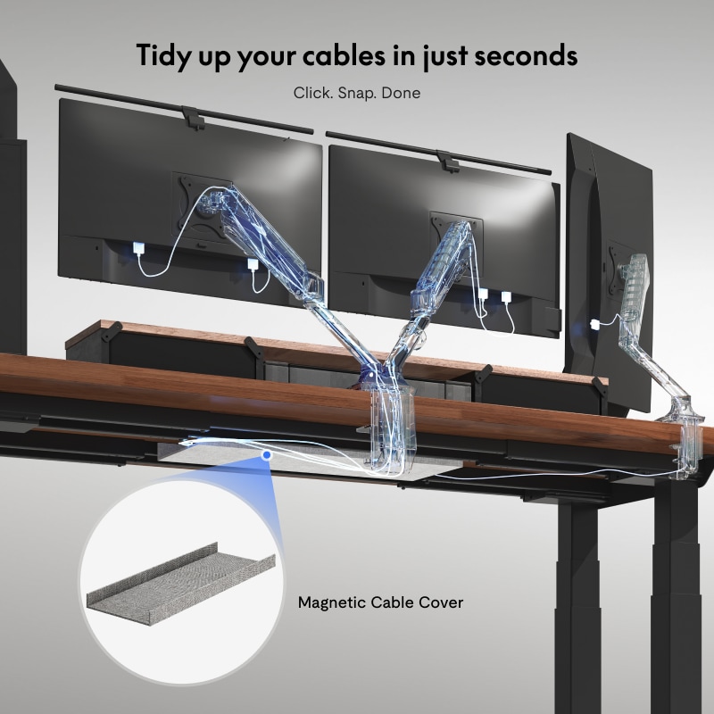 Premium 4-Leg Standing Desk E7 Plus Max|FlexiSpot Height